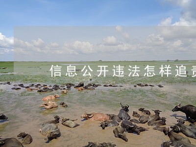 信息公开违法怎样追责 信息公开违法怎样追责