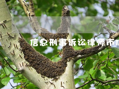 信息刑事诉讼律师市价 信息刑事诉讼律师市价