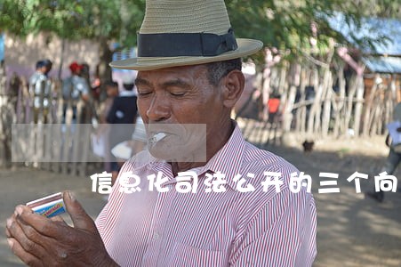 信息化司法公开的三个向度 信息化司法公开的三个向度