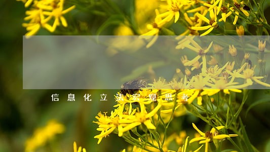 信息化立法宏观思考 信息化立法宏观思考