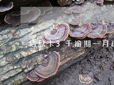 信息卡3千逾期一月违约金多少钱 信息卡3千逾期一月违约金多少钱