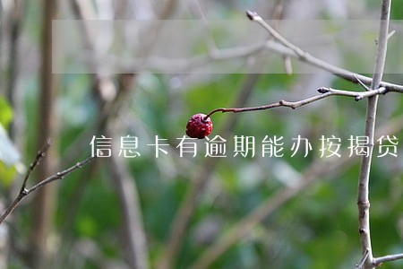 信息卡有逾期能办按揭贷款吗 信息卡有逾期能办按揭贷款吗