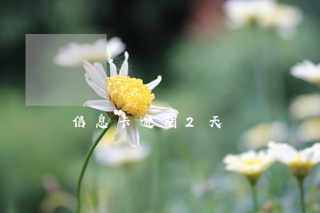信息卡逾期2天