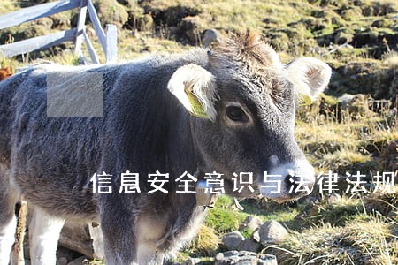 信息安全意识与法律法规 信息安全意识与法律法规