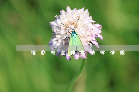 信息安全技术法律法规