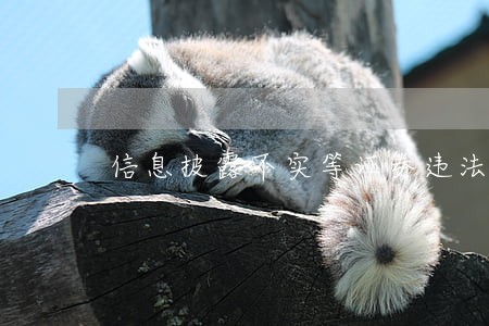 信息披露不实等证券违法违规