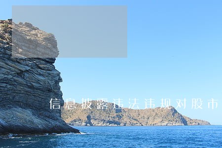 信息披露违法违规对股市影响