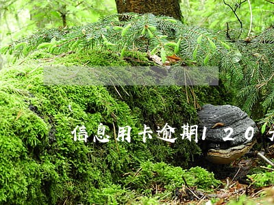 信息用卡逾期120天会咋样