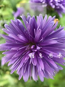 信息用卡逾期了10天怎么办 信息用卡逾期了10天怎么办