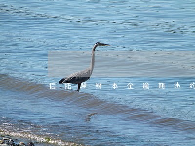 信托理财本金逾期违约金 信托理财本金逾期违约金