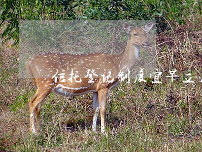 信托登记制度宜早立法推行 信托登记制度宜早立法推行
