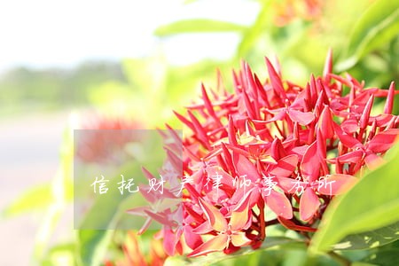 信托财产律师事务所 信托财产律师事务所