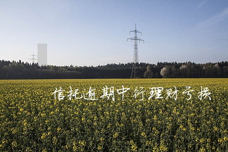 信托逾期中行理财亏损 信托逾期中行理财亏损