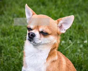 信托逾期理财怎么样 信托逾期理财怎么样