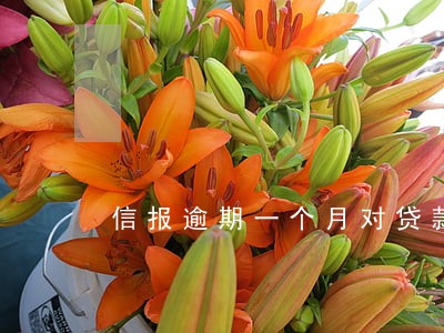 信报逾期一个月对贷款有影响吗 信报逾期一个月对贷款有影响吗