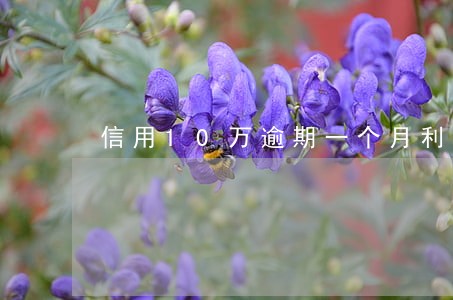 信用10万逾期一个月利息多少 信用10万逾期一个月利息多少