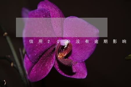 信用20分没有逾期影响车贷吗 信用20分没有逾期影响车贷吗