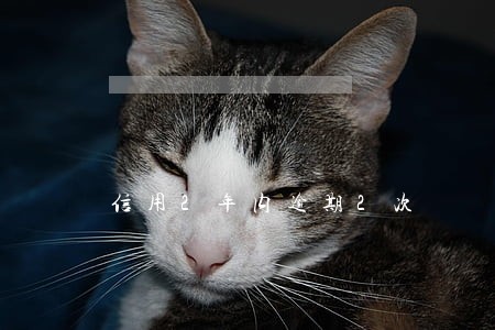 信用2年内逾期2次 信用2年内逾期2次