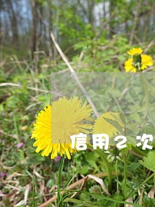 信用2次逾期公积金贷款利率 信用2次逾期公积金贷款利率