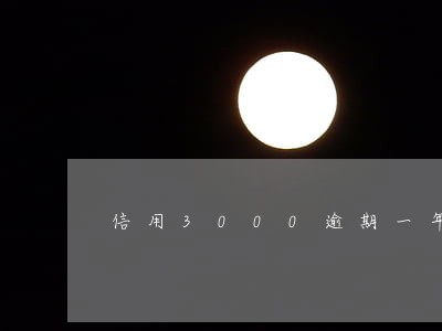 信用3000逾期一年怎么算