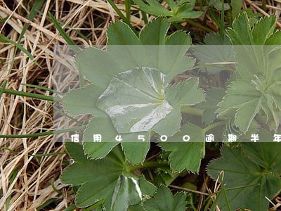 信用4500逾期半年 信用4500逾期半年