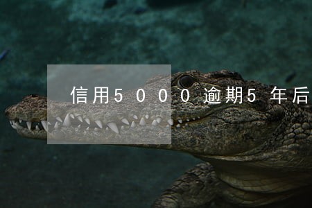 信用5000逾期5年后还清 信用5000逾期5年后还清