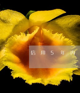 信用5年内3次逾期正常吗 信用5年内3次逾期正常吗