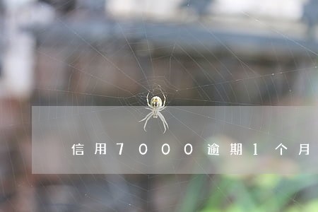 信用7000逾期1个月 信用7000逾期1个月