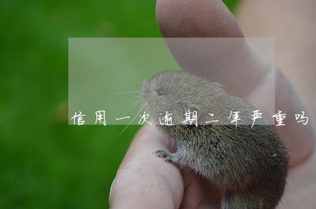 信用一次逾期二年严重吗