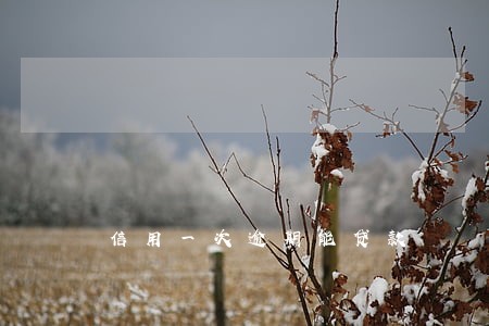 信用一次逾期能贷款 信用一次逾期能贷款