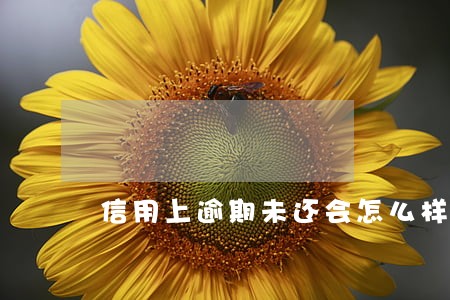信用上逾期未还会怎么样 信用上逾期未还会怎么样