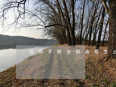 信用不够全部逾期怎么借钱 信用不够全部逾期怎么借钱