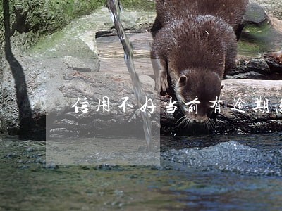 信用不好当前有逾期怎么网贷 信用不好当前有逾期怎么网贷