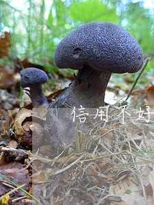 信用不好有逾期可以贷款吗 信用不好有逾期可以贷款吗