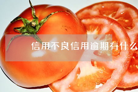 信用不良信用逾期有什么影响 信用不良信用逾期有什么影响