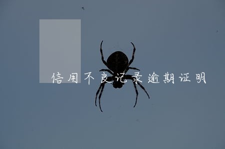 信用不良记录逾期证明 信用不良记录逾期证明