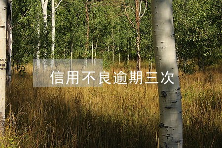 信用不良逾期三次 信用不良逾期三次