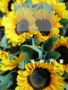 信用严重逾期了还了能做飞机吗 信用严重逾期了还了能做飞机吗