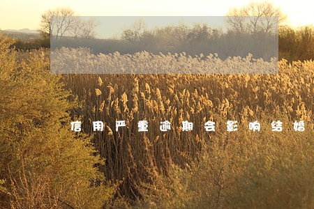 信用严重逾期会影响结婚吗 信用严重逾期会影响结婚吗