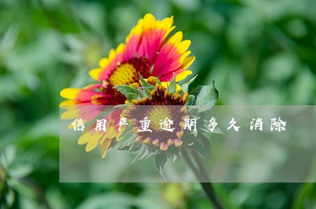 信用严重逾期多久消除 信用严重逾期多久消除