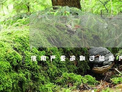信用严重逾期过能走汽车金融吗 信用严重逾期过能走汽车金融吗