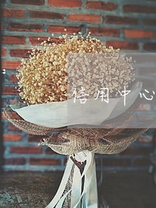 信用中心发逾期信息