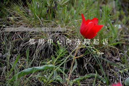 信用中心向法院起诉 信用中心向法院起诉