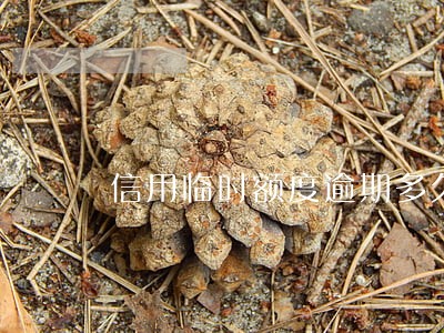 信用临时额度逾期多久会封卡 信用临时额度逾期多久会封卡