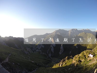 信用了卡逾期了怎么处理 信用了卡逾期了怎么处理