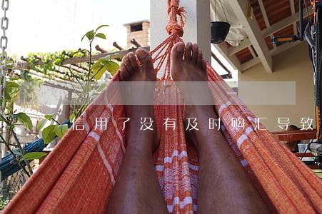 信用了没有及时购汇导致逾期 信用了没有及时购汇导致逾期