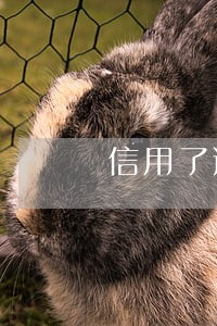 信用了逾期1天会怎么样 信用了逾期1天会怎么样