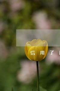 信用了逾期2年 信用了逾期2年