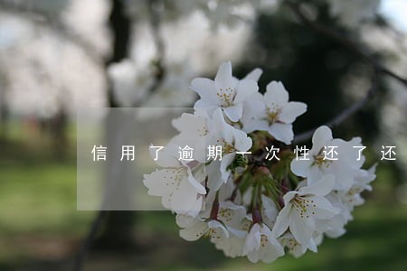 信用了逾期一次性还了还可以用吗 信用了逾期一次性还了还可以用吗