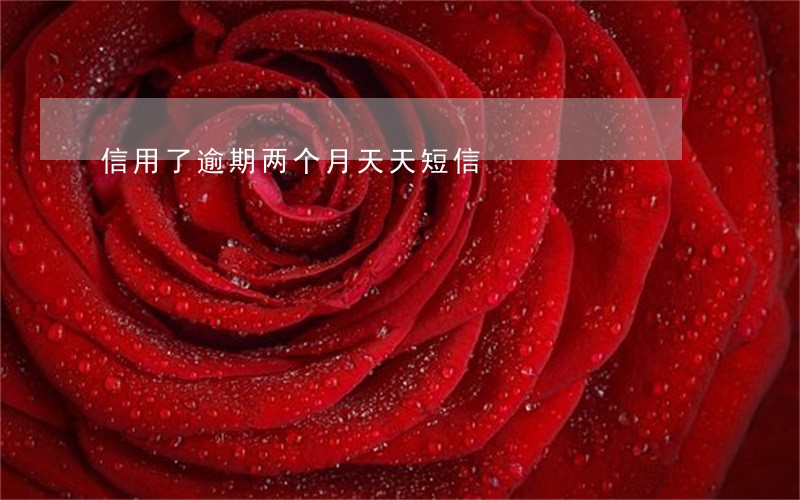 信用了逾期两个月天天短信 信用了逾期两个月天天短信